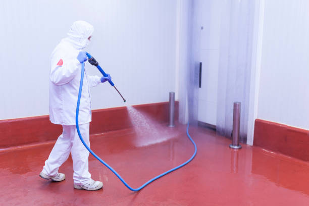 Best Boat and Dock Cleaning  in Marinette, WI